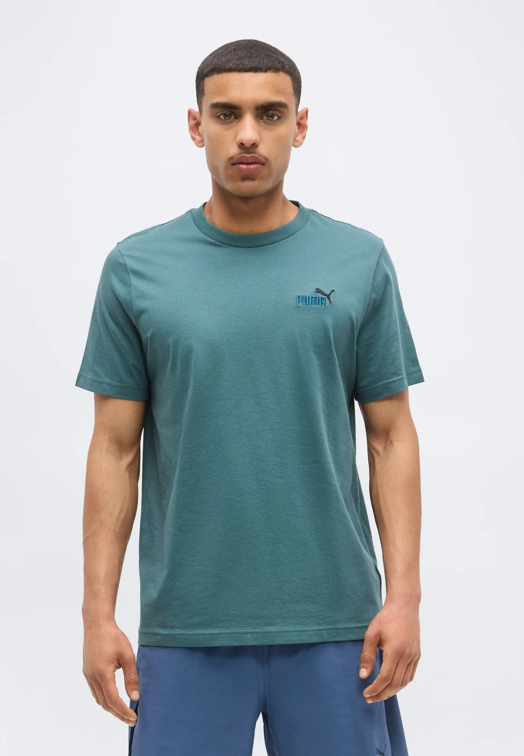 Puma Small No 1 Logo Tee T Shirt Basic Herb Garden