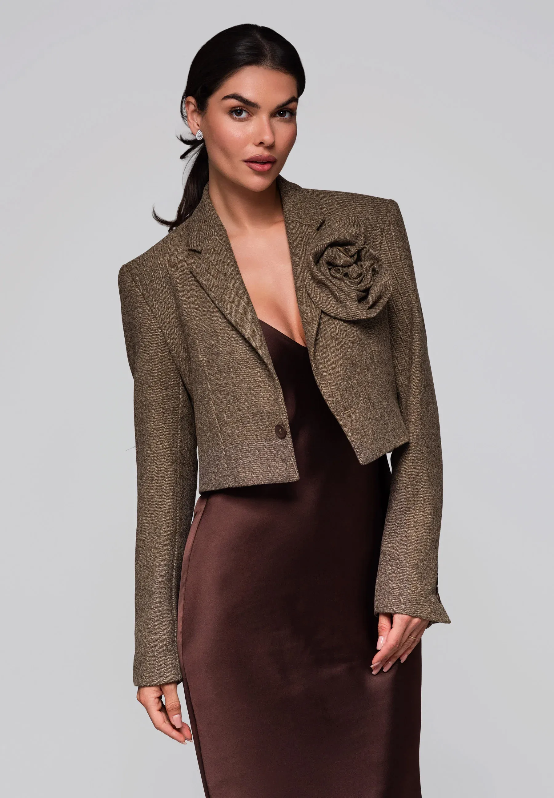 Blazer Ombré Beige Foncé